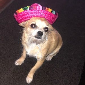 Meet your Posher, Mallory